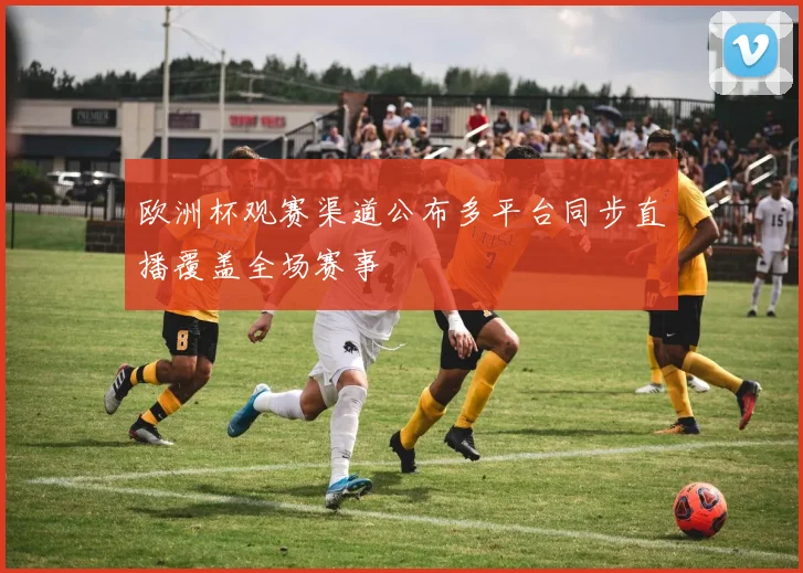 欧洲杯观赛渠道公布多平台同步直播覆盖全场赛事